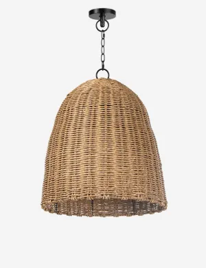Beehive Outdoor Pendant Light by Regina Andrew