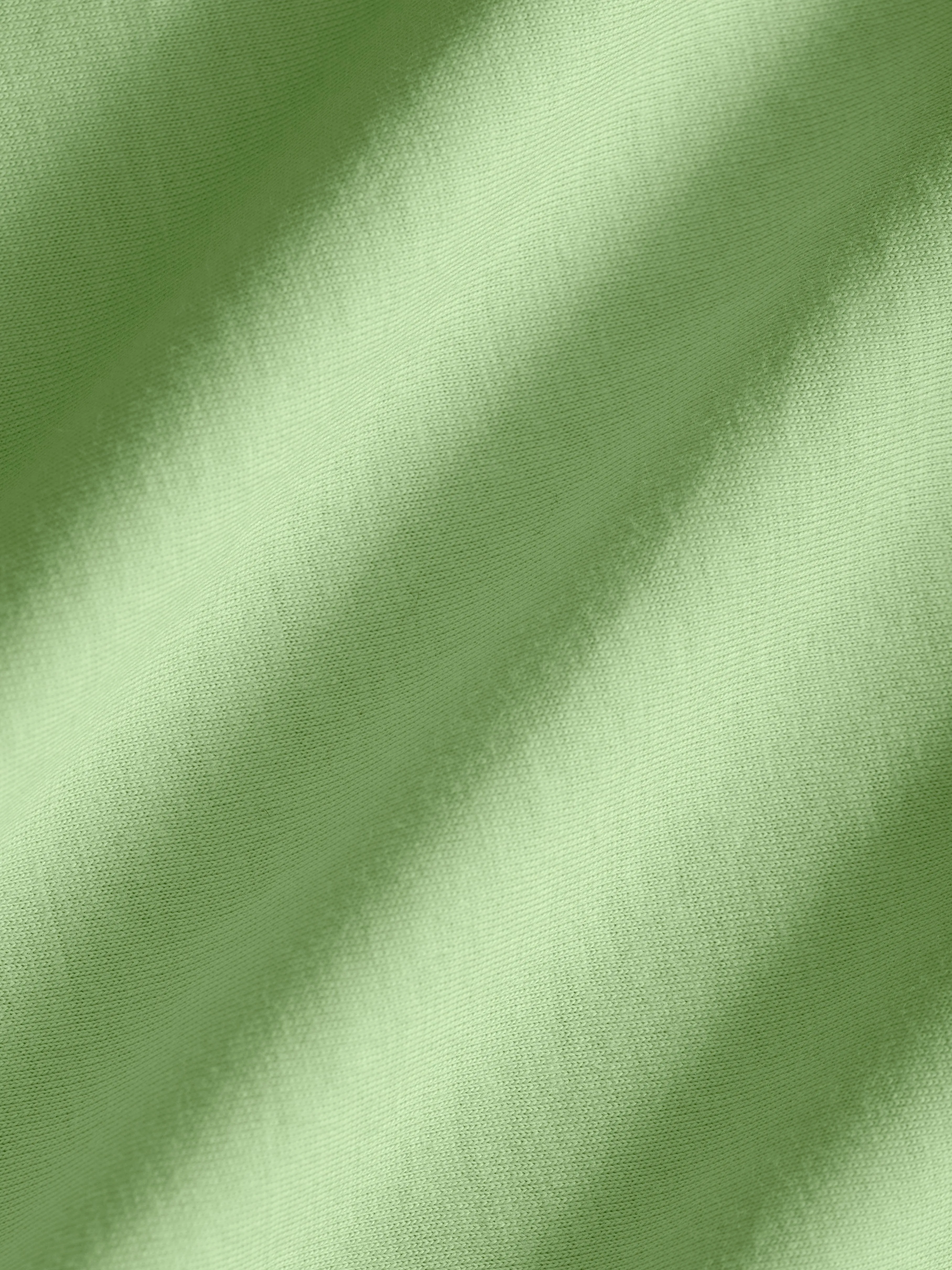 Mens 365 Midweight T-shirt—fennel green