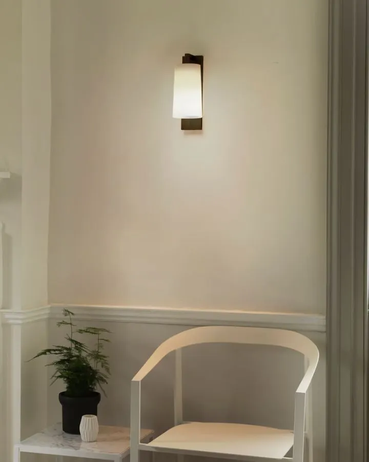 Transitional Slim Wall Light | Assorted Finishes