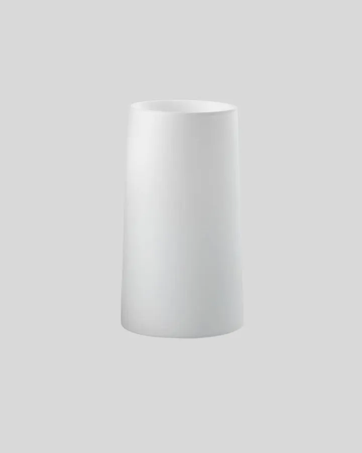 Transitional Slim Wall Light | Assorted Finishes